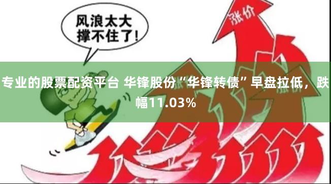 专业的股票配资平台 华锋股份“华锋转债”早盘拉低，跌幅11.03%