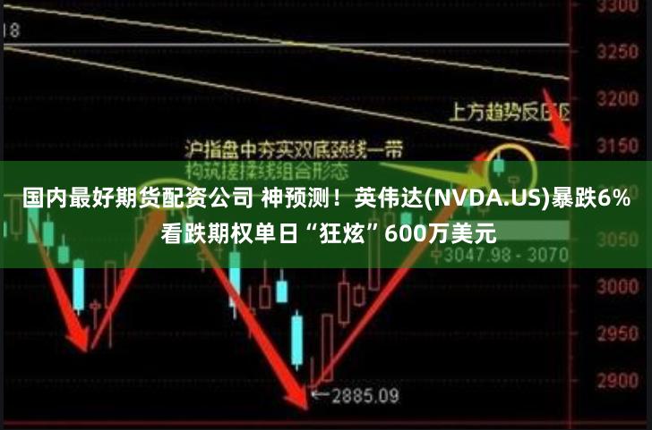 国内最好期货配资公司 神预测！英伟达(NVDA.US)暴跌6% 看跌期权单日“狂炫”600万美元