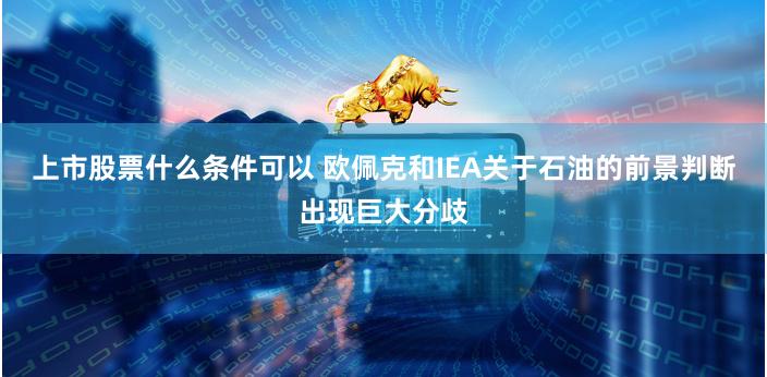 上市股票什么条件可以 欧佩克和IEA关于石油的前景判断出现巨大分歧