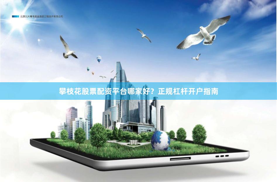 攀枝花股票配资平台哪家好？正规杠杆开户指南