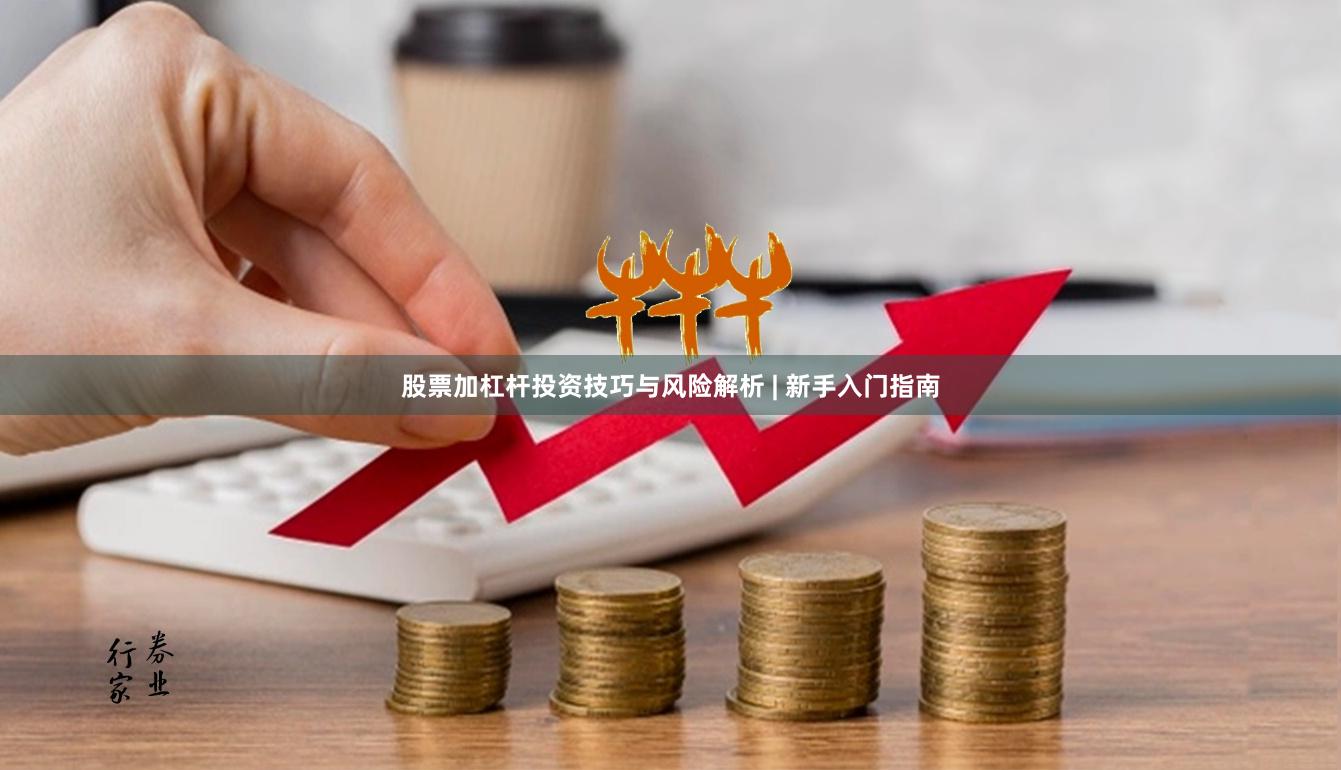 股票加杠杆投资技巧与风险解析 | 新手入门指南