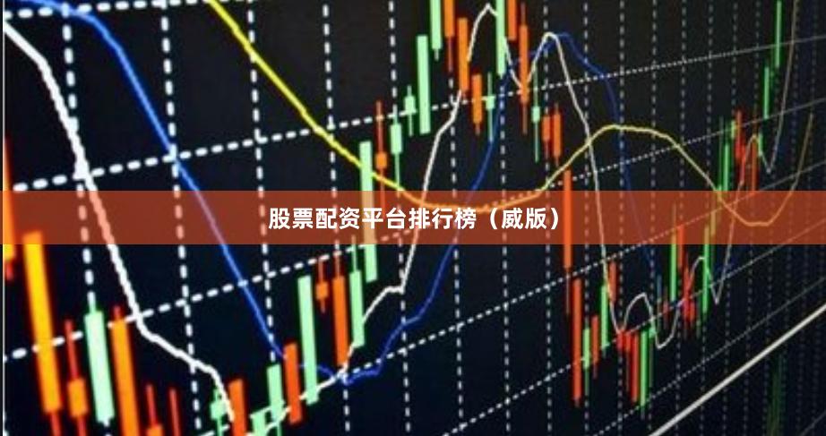 股票配资平台排行榜(威版)