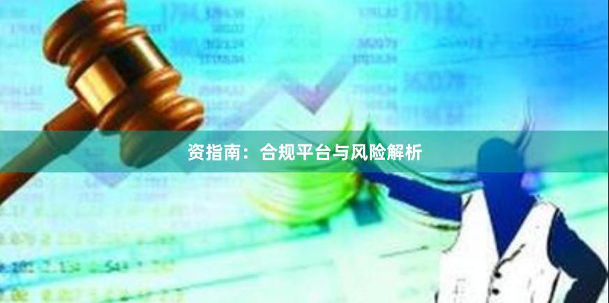 资指南：合规平台与风险解析