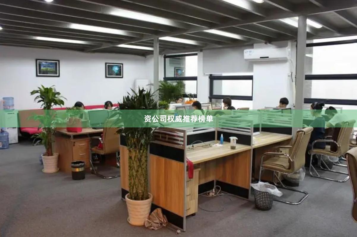 资公司权威推荐榜单